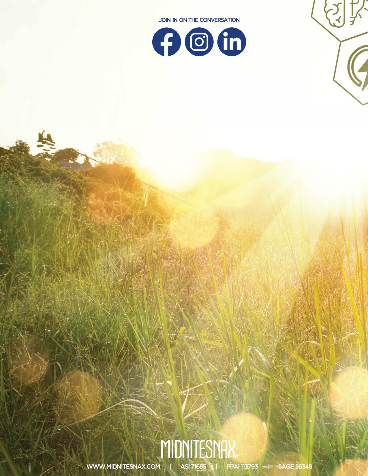 Healthy snack alternatives from trail mixes to bars