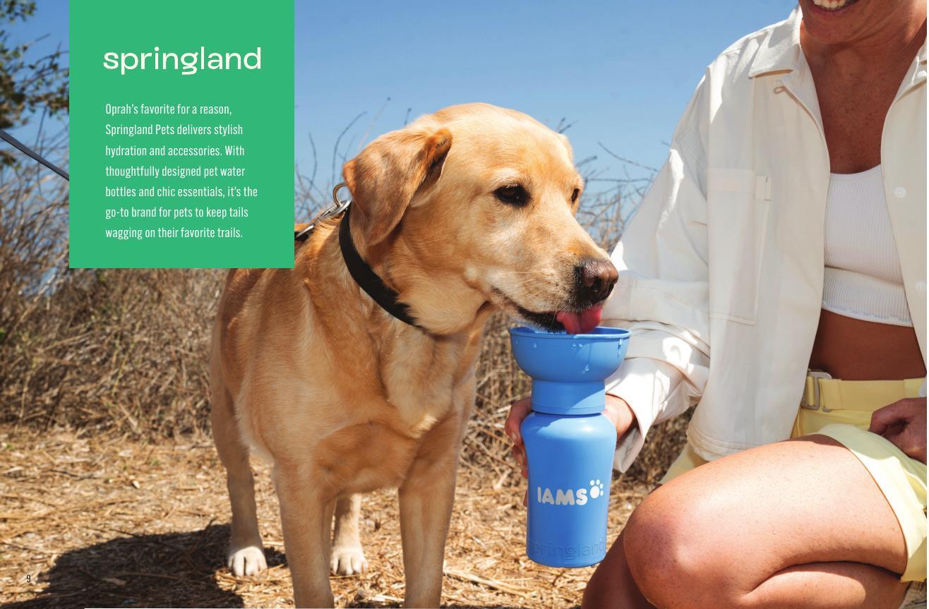 Elevate your brand, spark connection, and make a lasting impression.