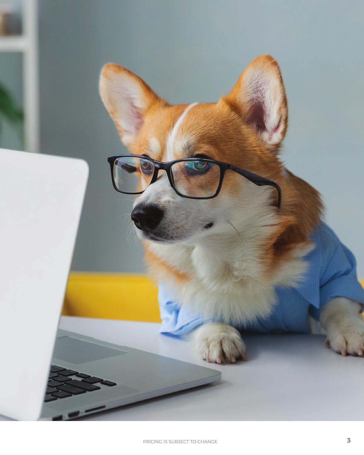 Client-friendly catalog featuring popular pet-themed products to support our furry friends
