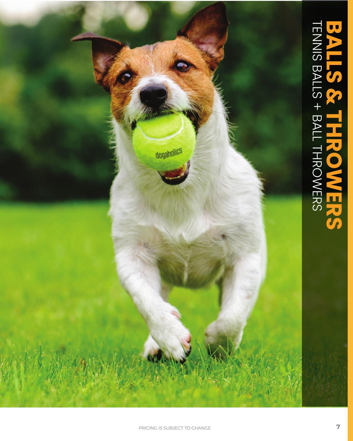 Client-friendly catalog featuring popular pet-themed products to support our furry friends