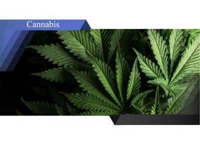 Find everything your cannabis industry clients need to effectively promote their business today