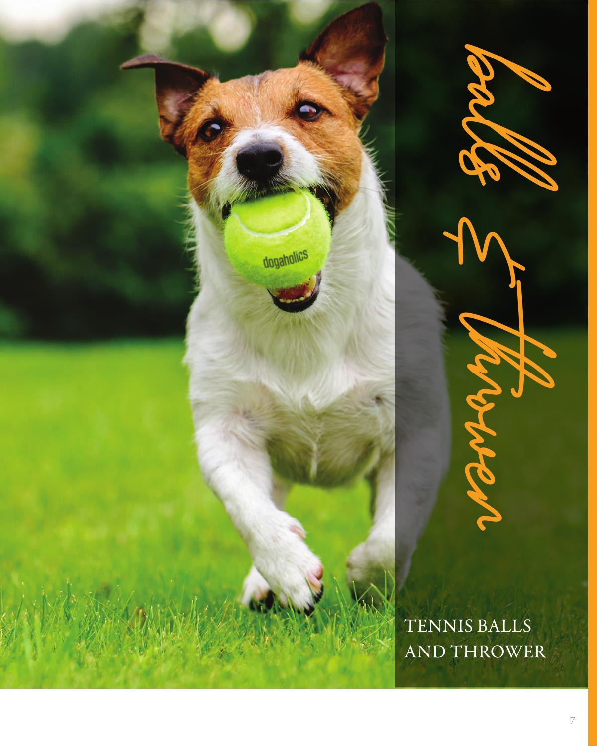 2026 Pet Promo Lookbook