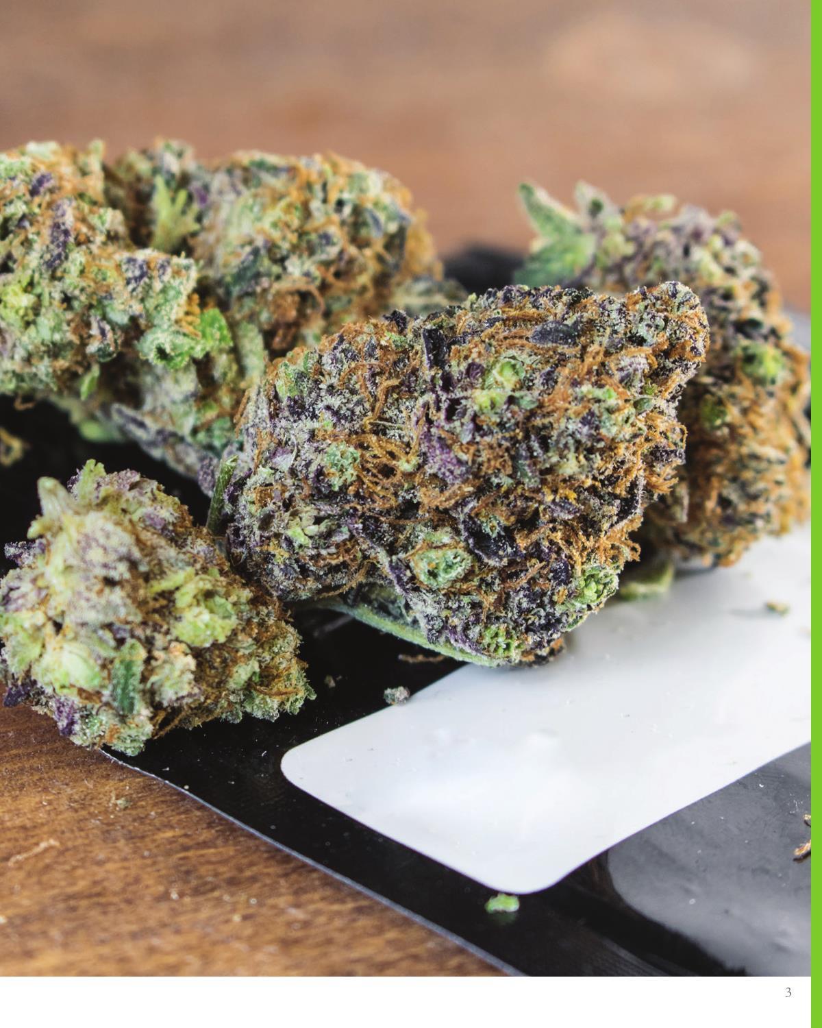 2026 Cannabis Lookbook