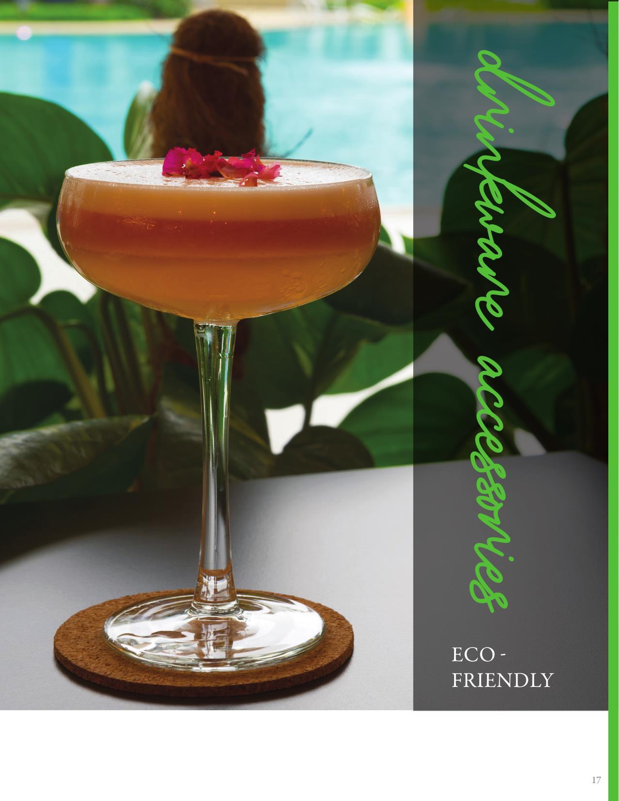 2026 Eco-Friendly Lookbook Safe