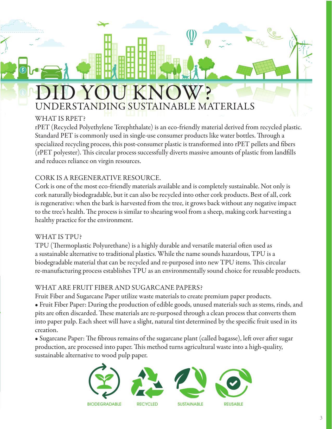 2026 Eco-Friendly Lookbook Safe