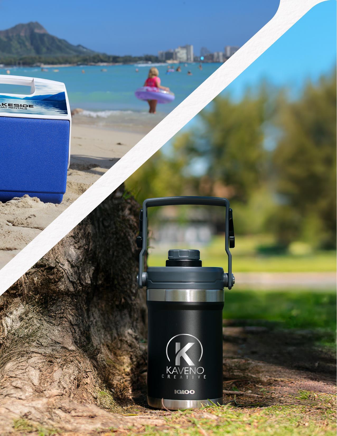 2026 New &amp; Trending Catalog