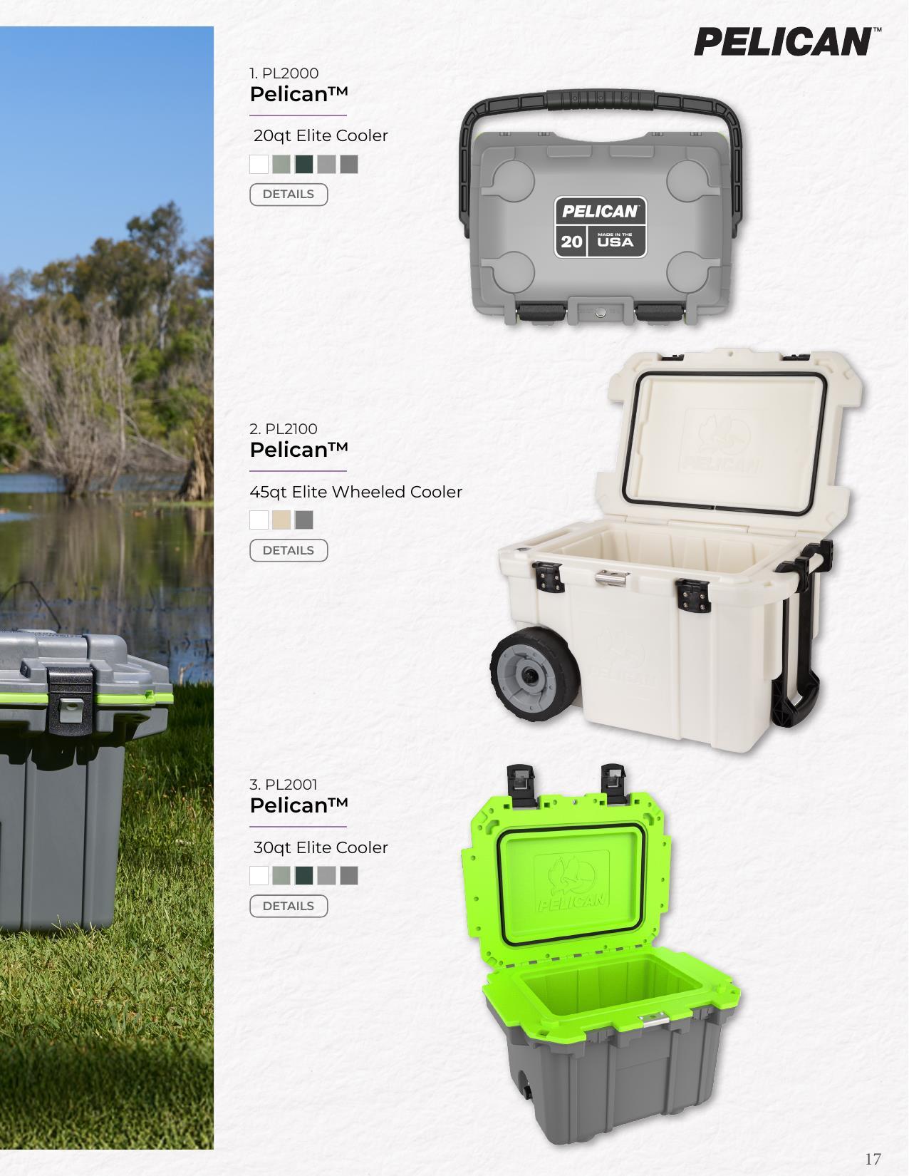 2026 New &amp; Trending Catalog