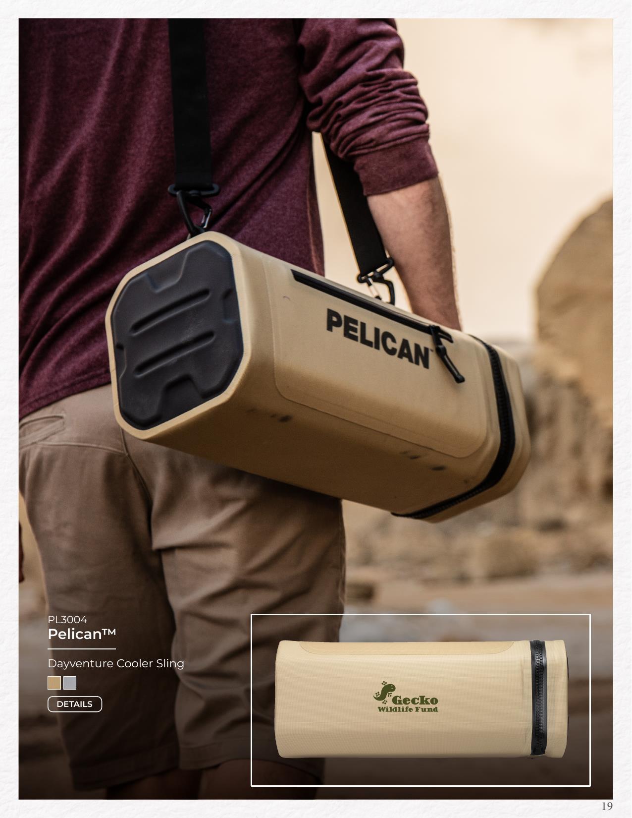 2026 New &amp; Trending Catalog