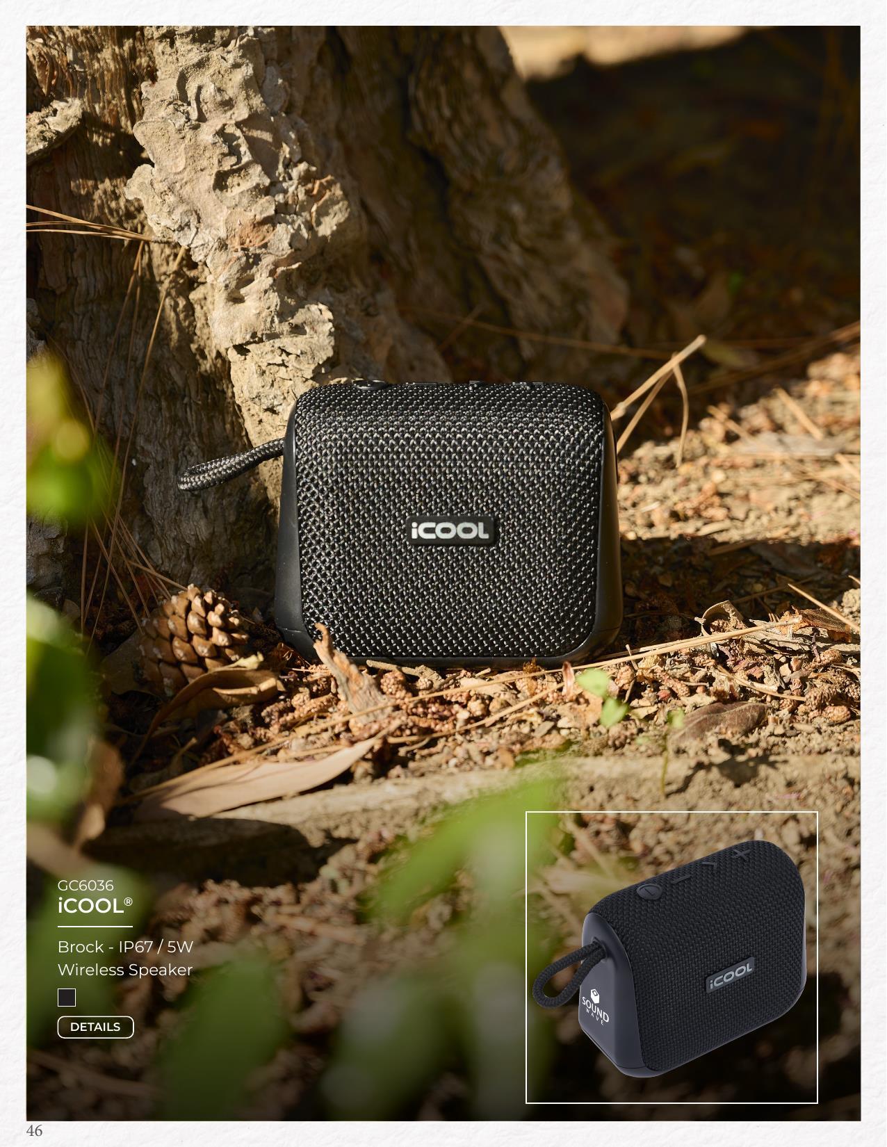 2026 New &amp; Trending Catalog