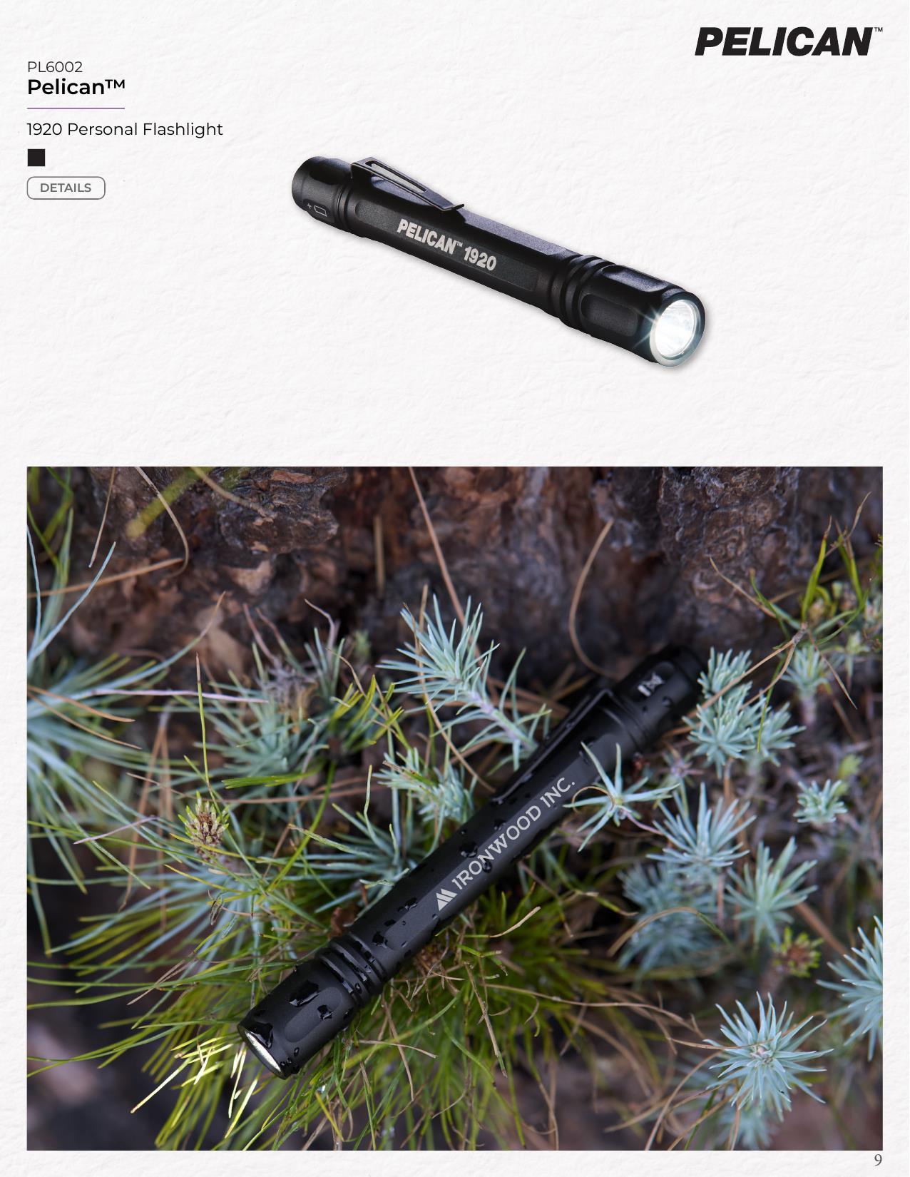 2026 New &amp; Trending Catalog