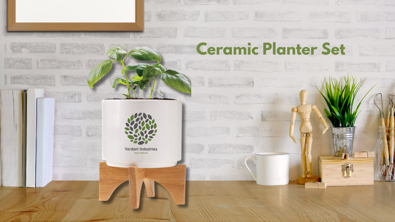 Ceramic Planter Set